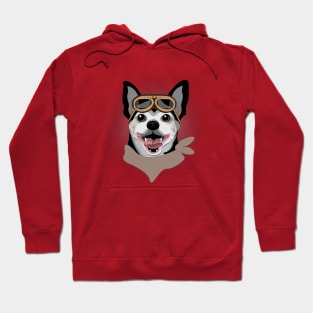 Post-Apocalyptic Chihuahua Dog Face with Goggles Hoodie